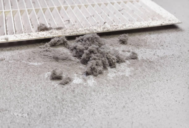 Air Duct Mold Removal in Tornillo, TX
