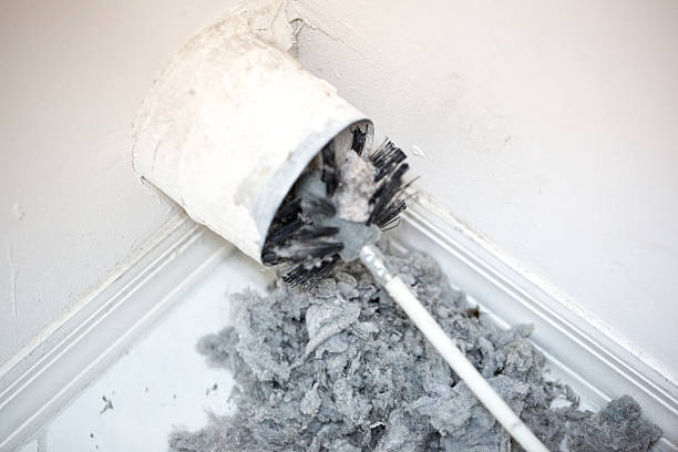 Best Best Air Duct Cleaning Company  in Tornillo, TX
